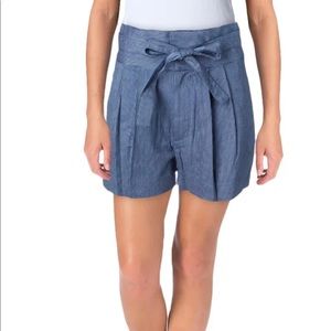 NWT-Marc Jacobs Blue Pinstripe Pleated Shorts- 10